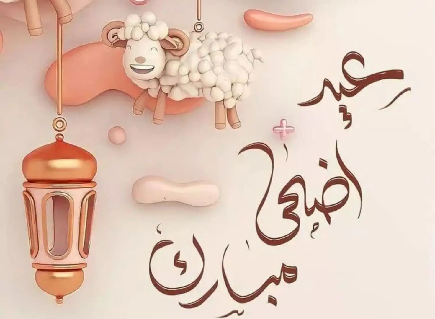 هلا نيوز تهنئ بعيد الأضحى المبارك